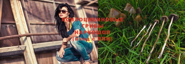 а пвп мука Абдулино