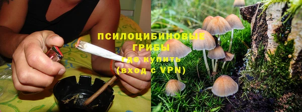 а пвп мука Абдулино