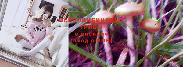 а пвп мука Абдулино