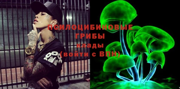 спайс Абаза
