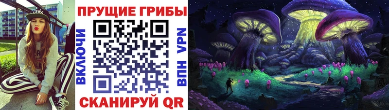 MEGA ССЫЛКА  закладки  Кострома  Псилоцибиновые грибы Psilocybine cubensis 
