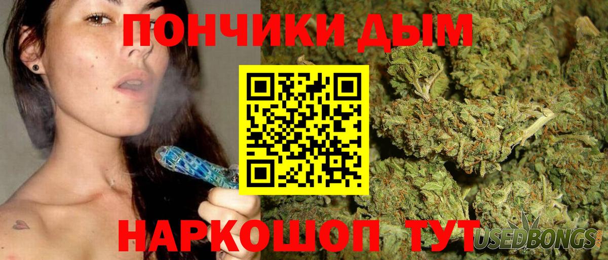 Бошки Шишки гибрид Кострома